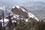 photo thumbnail #1