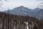 photo thumbnail #5