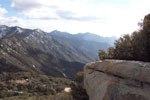 photo thumbnail #8