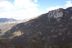 photo thumbnail #10