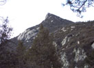 photo thumbnail #11