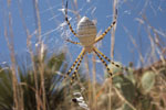 photo thumbnail #2