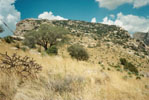photo thumbnail #7