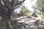 photo thumbnail #12