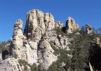 photo thumbnail #10