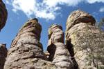 photo thumbnail #9
