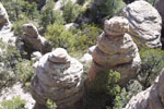 photo thumbnail #11