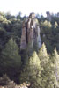 photo thumbnail #15